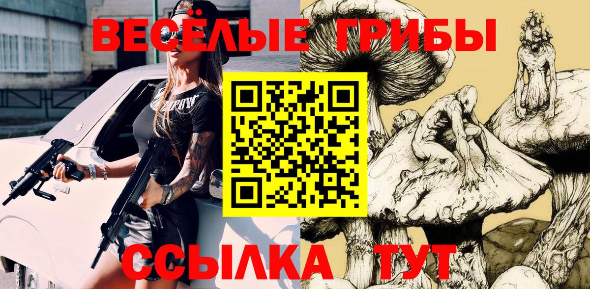 Галлюциногенные грибы Psilocybine cubensis  Вход с VPN  Кинель 